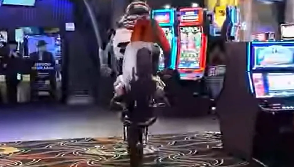 Nitro Circus把娛樂城變成特技秀現場